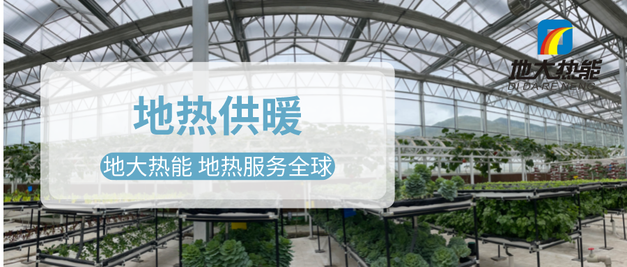 發(fā)揮地?zé)豳Y源優(yōu)勢(shì)，地?zé)徂r(nóng)業(yè)實(shí)現(xiàn)花卉產(chǎn)業(yè)特色發(fā)展 | 地大熱能 地?zé)岱?wù)全球