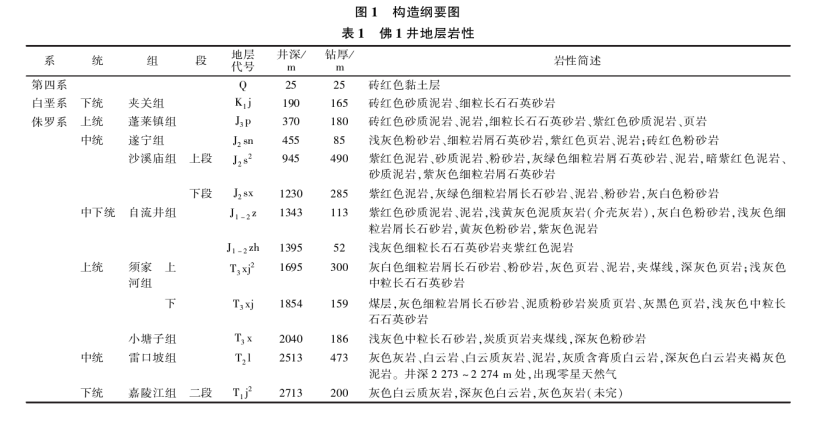 樂山大佛景區(qū)區(qū)域地?zé)豳Y源開發(fā)遠(yuǎn)景分析-地大熱能 樂山大佛景區(qū)區(qū)域地?zé)豳Y源開發(fā)遠(yuǎn)景分析-地大熱能